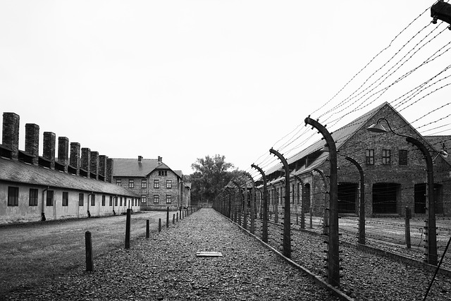 AUSCHWITZ E LA MEMORIA: un viaggio nel cuore della storia