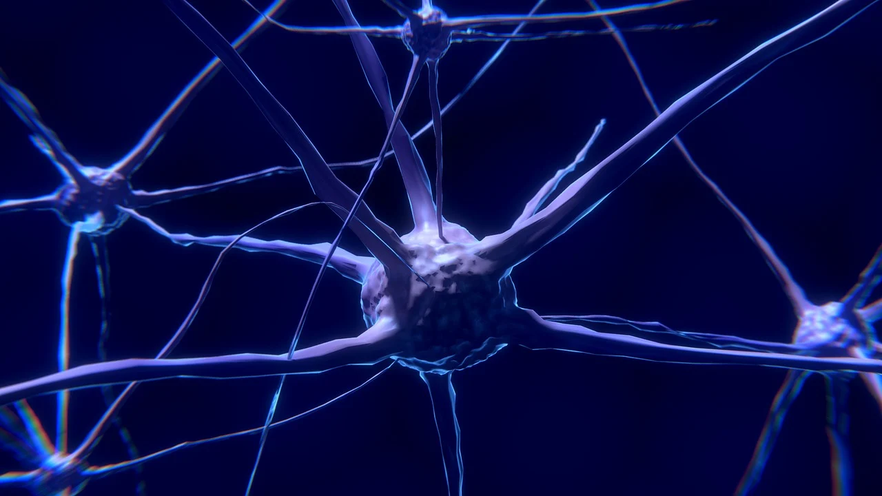L’intestino come secondo cervello: impatti sullo sviluppo cognitivo